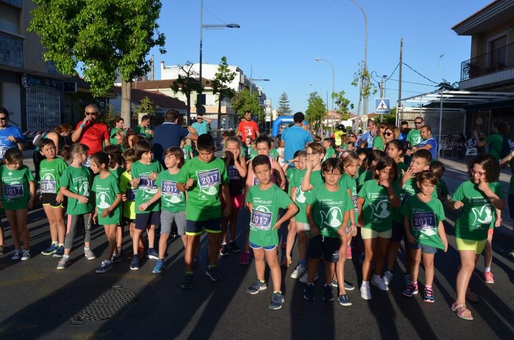 Aidemarcha de San Javier 2017