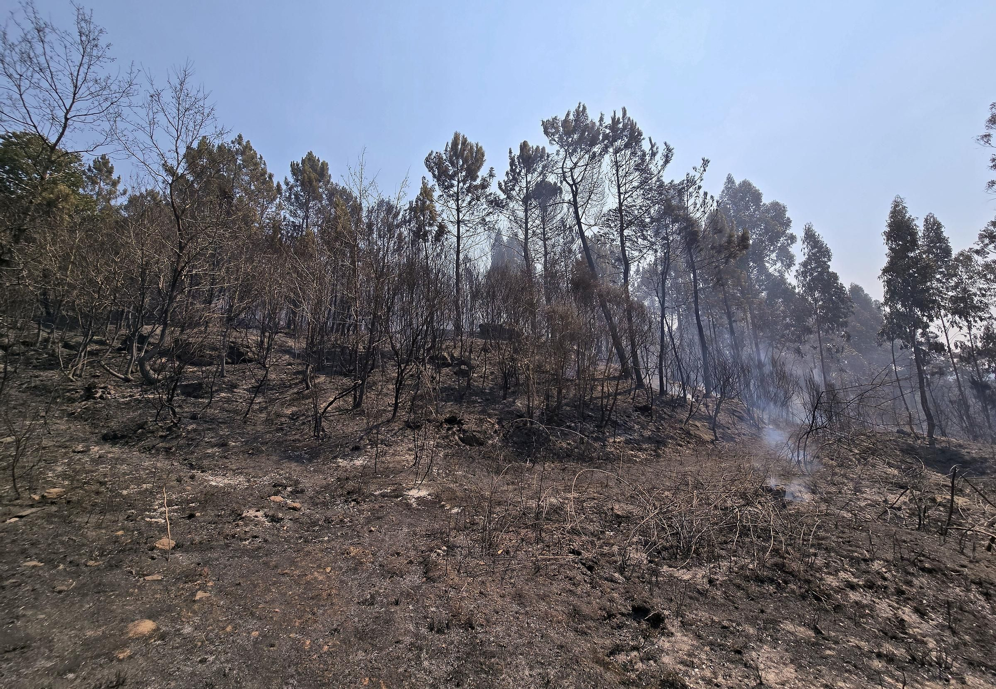 Los incendios sacuden Galicia