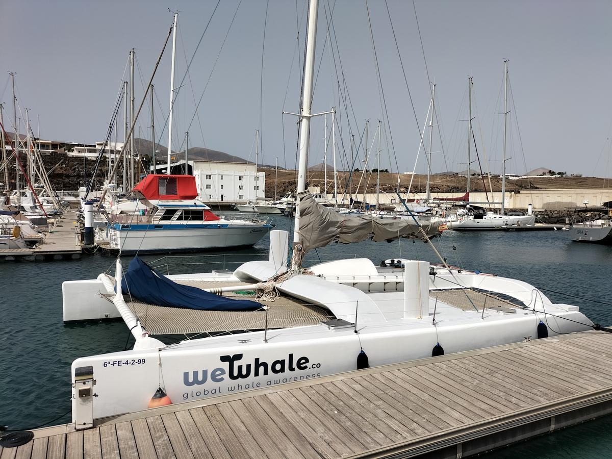 Cetáceos y catamarán 100% eléctrico en Lanzarote