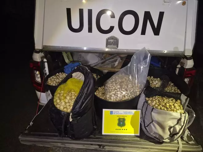 Sorprenden catro furtivos con 154 quilos de berberecho no espazo protexido de Corrubedo