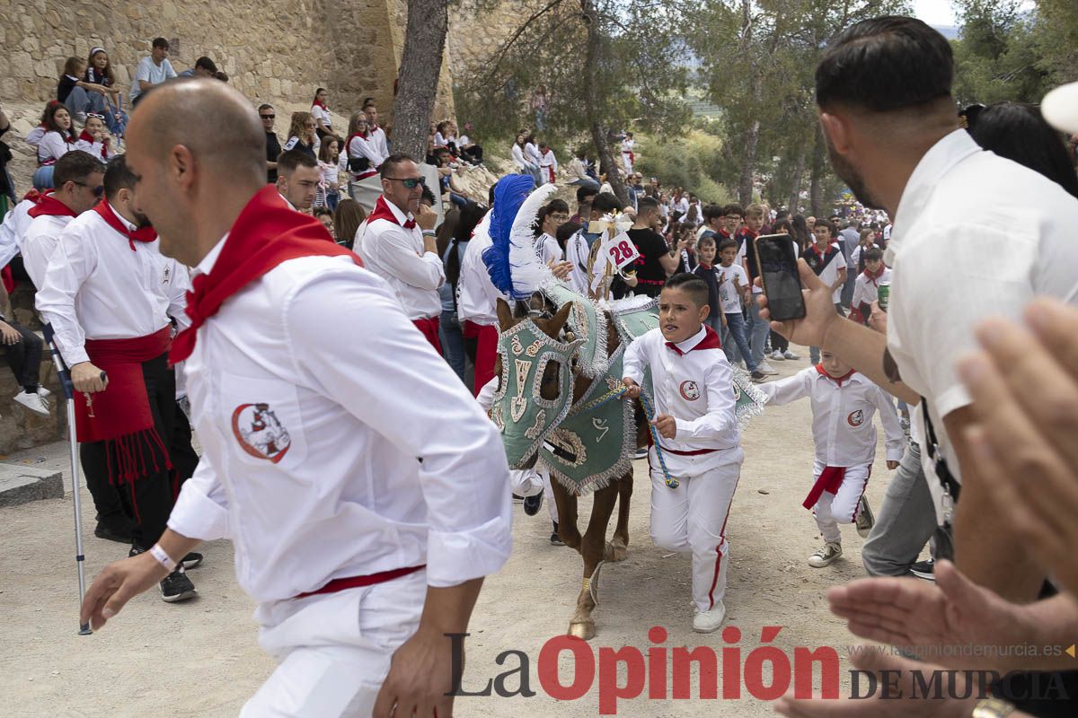 Fiestas de Caravaca | Desfile infantil del Bando de los Caballos del Vino