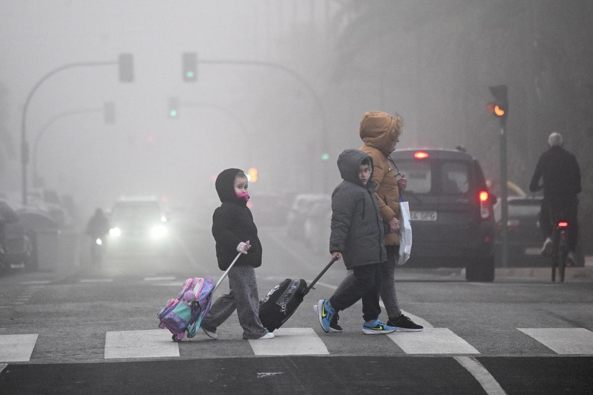 La niebla deja estampas invernales en la provincia de Alicante