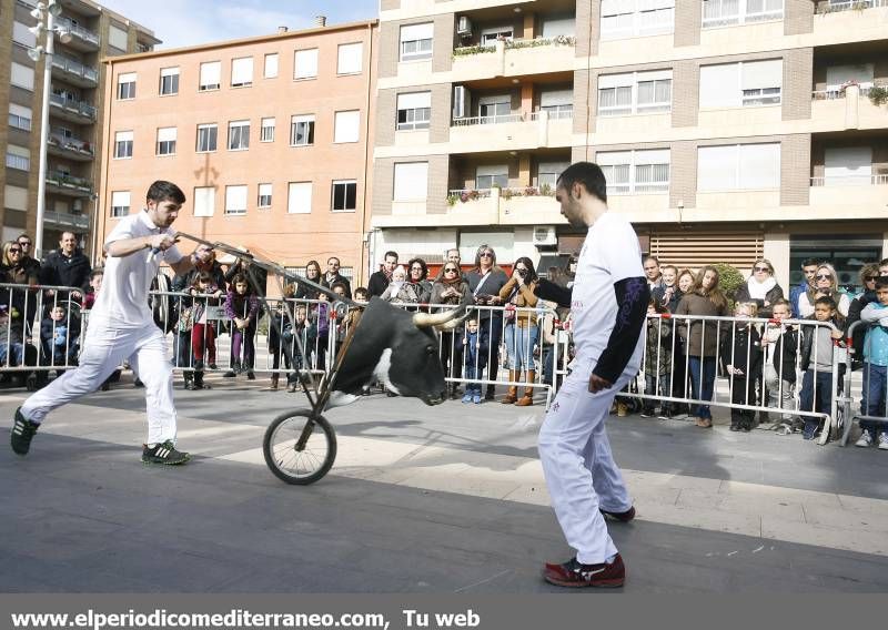 GALERÍA DE FOTOS -- Demostración de recortadores en Almassora