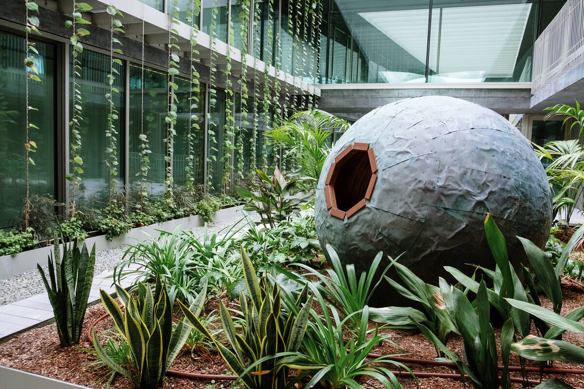 251010DMA_Bernardo A (225269403).jpg