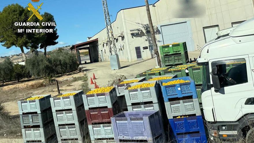 Investigan a tres empresarios por fraude de cítricos ecológicos en Murcia