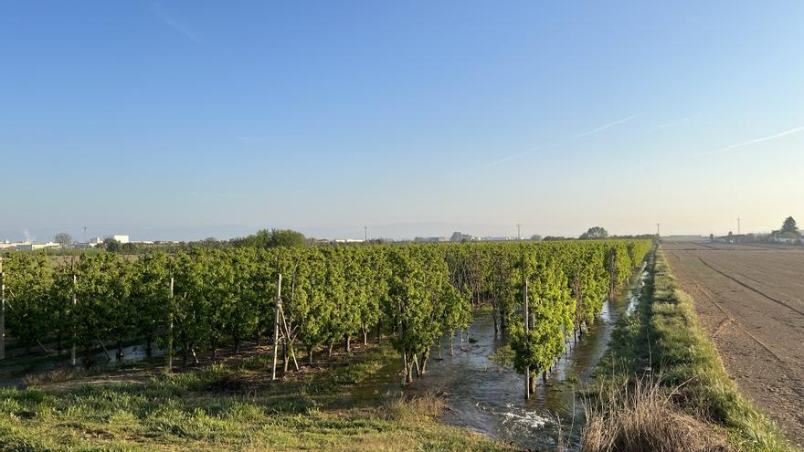 El canal d&#039;Urgell tanca al regadiu amb la incertesa de si es podrà reprendre la campanya abans del setembre