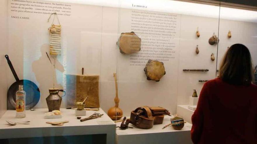 Una mujer observa la vitrina llena de instrumentos.