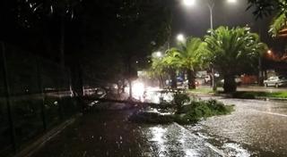 Ráfagas de viento dejaron sin luz a más de 220 mil hogares en capital chilena