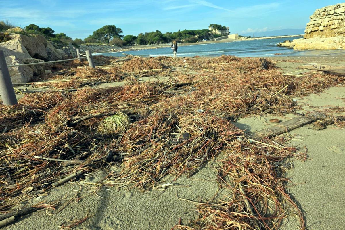 El temporal s'endú les platges de l'Escala i deixa passejos plens de sorra a la Costa Brava