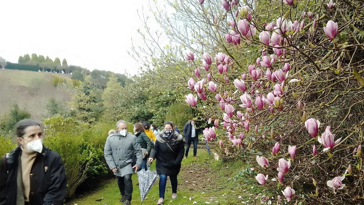 Visitantes, en una de las áreas del jardín, el día de la reapertura, el pasado marzo.