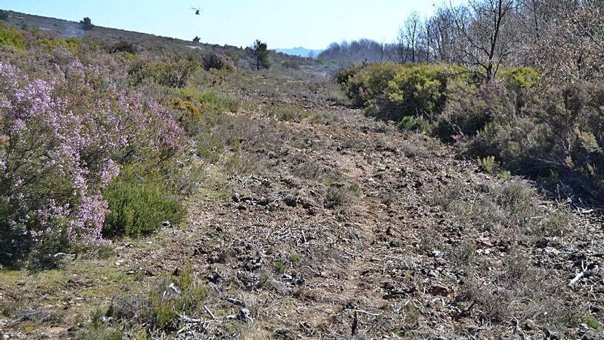 Zona arada en el monte de Robledo. | A. S. 