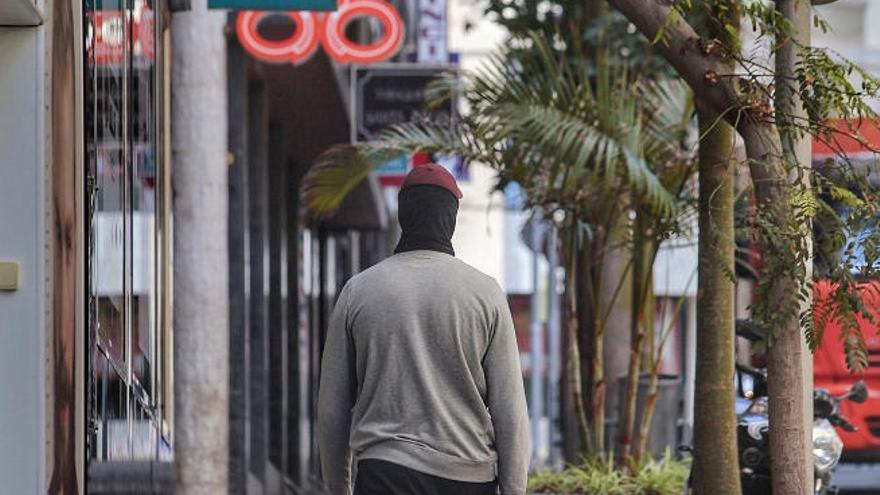 Un ciudadano pasea a su mascota por una calle santacrucera.