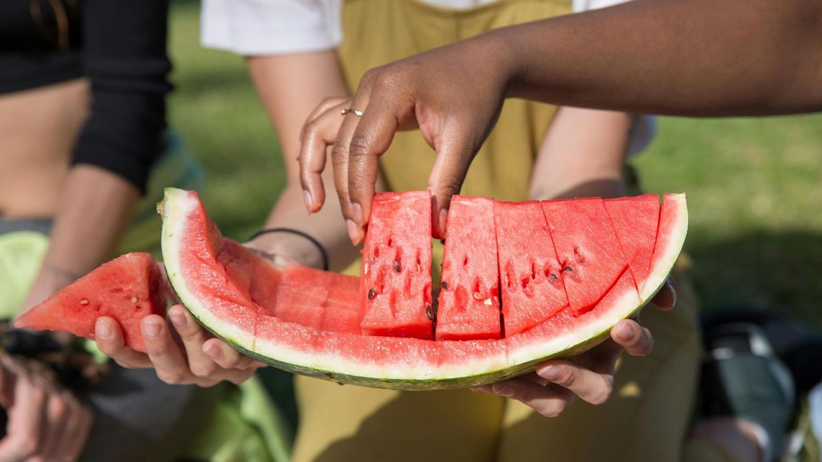 La sandía es la reina del verano