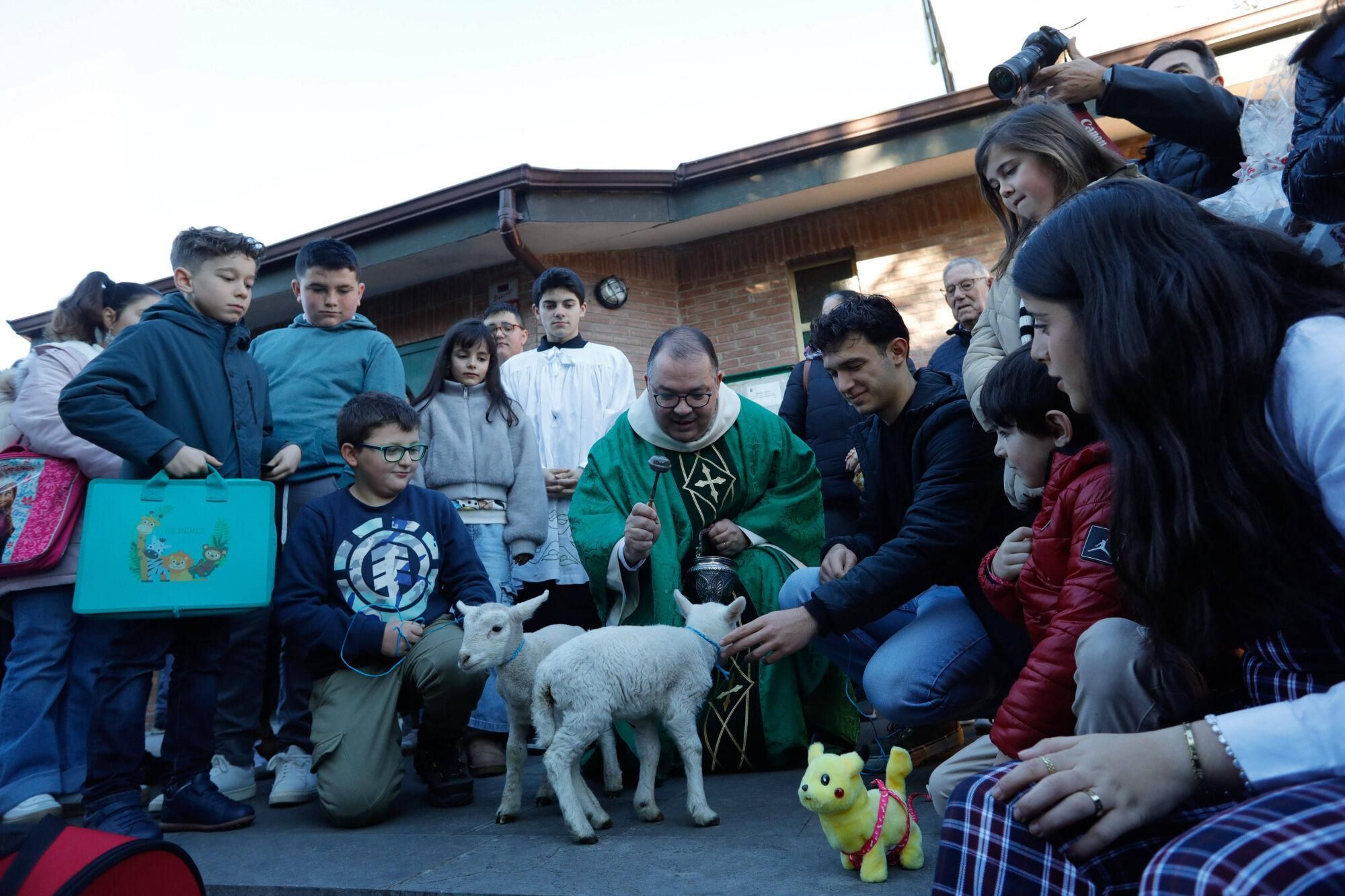 En imágenes: Así fue la bendición de animales por San Antonio en Avilés