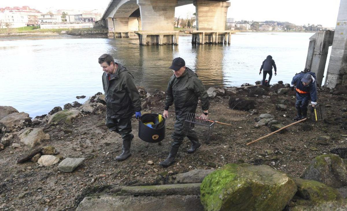 Un capazo, con bivalvos recogidos en el día. |  Carlos Pardellas