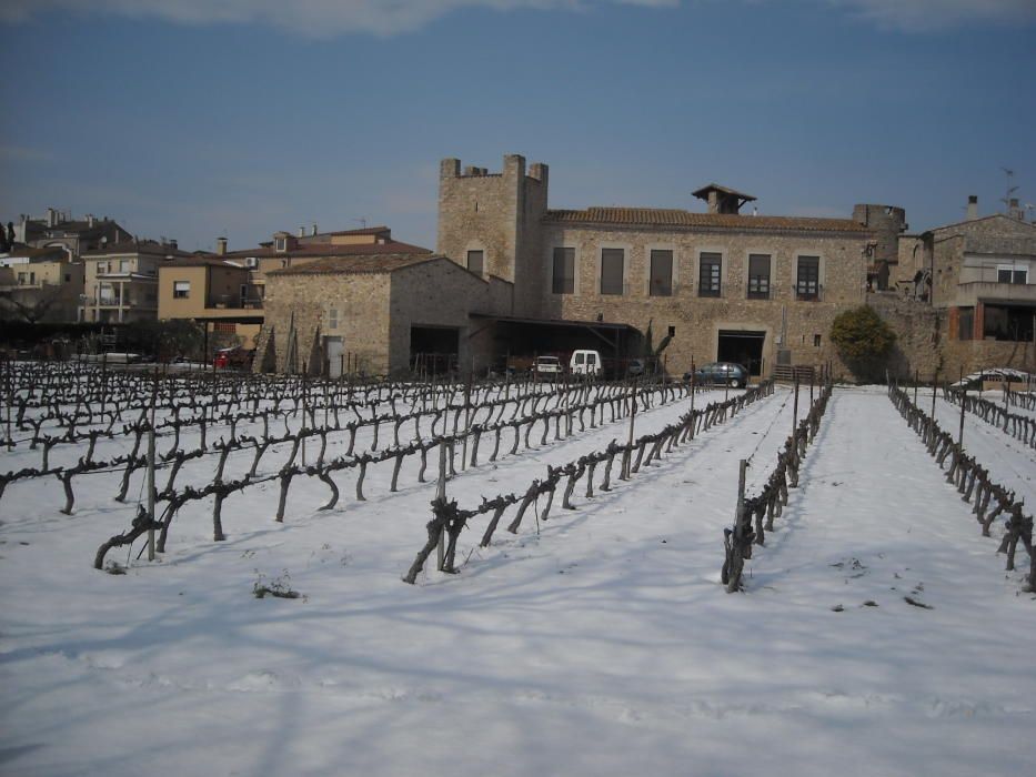 La neu va emblanquinar tota la comarca