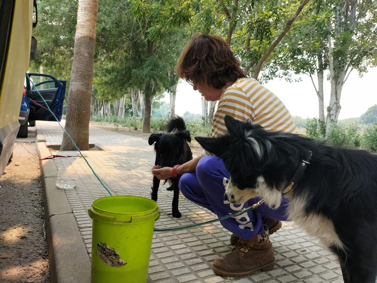 Isabel Jiménez da de comer a sus perros.