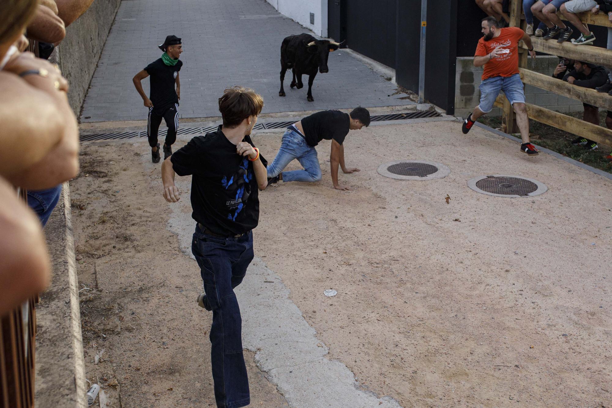 Les imatge del correbou de Vidreres