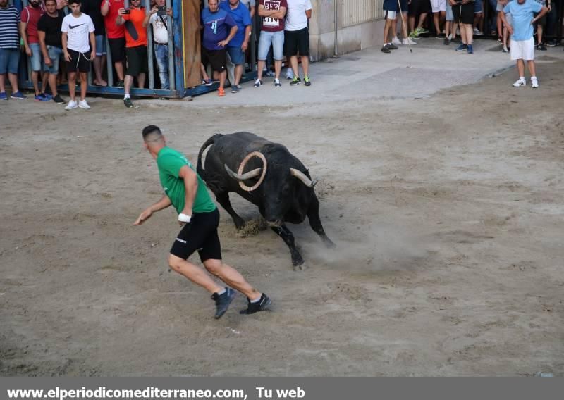 Fiestas de Sant Pere 2018