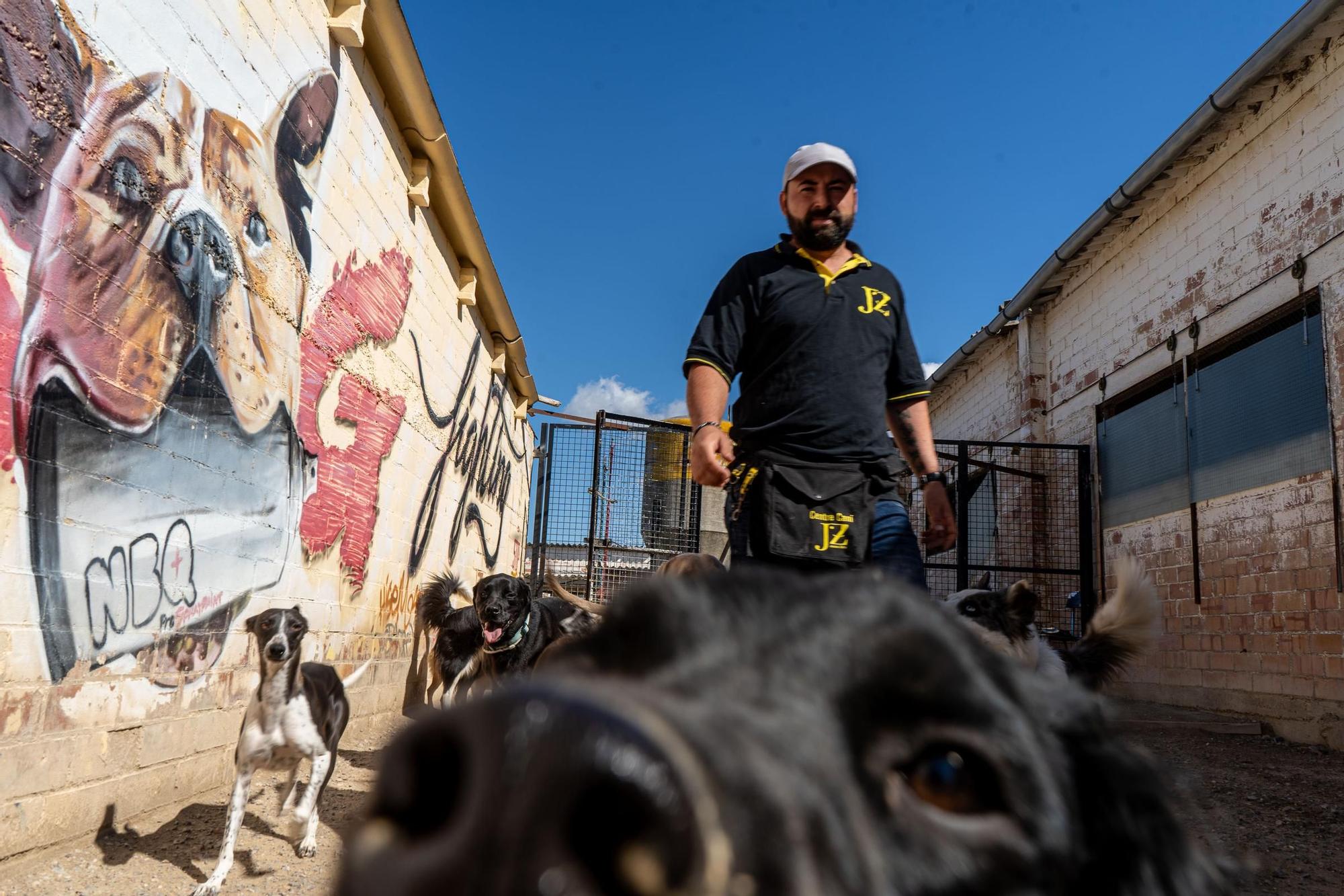 Residències canines: Centre Caní Jonatan Zafra, a Sant Fruitós de Bages