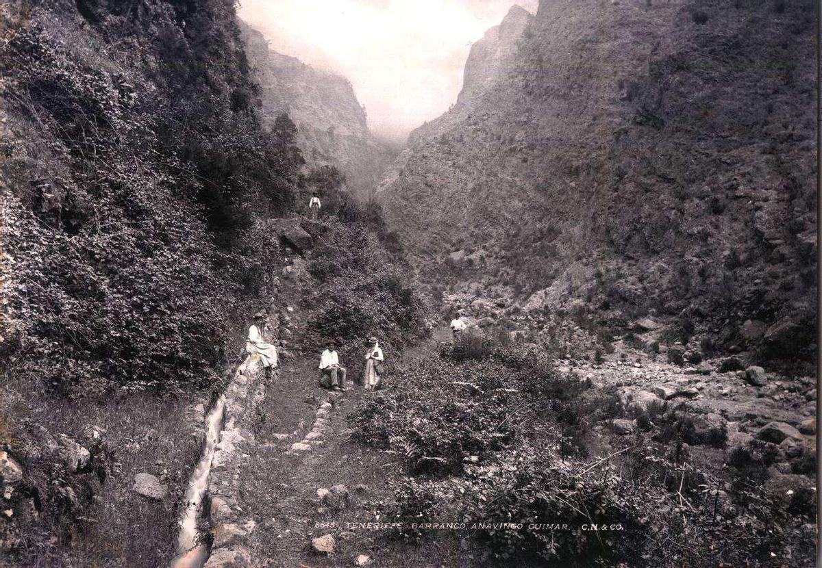 El caudal de agua discurrió por el barranco de Añavingo en Arafo,