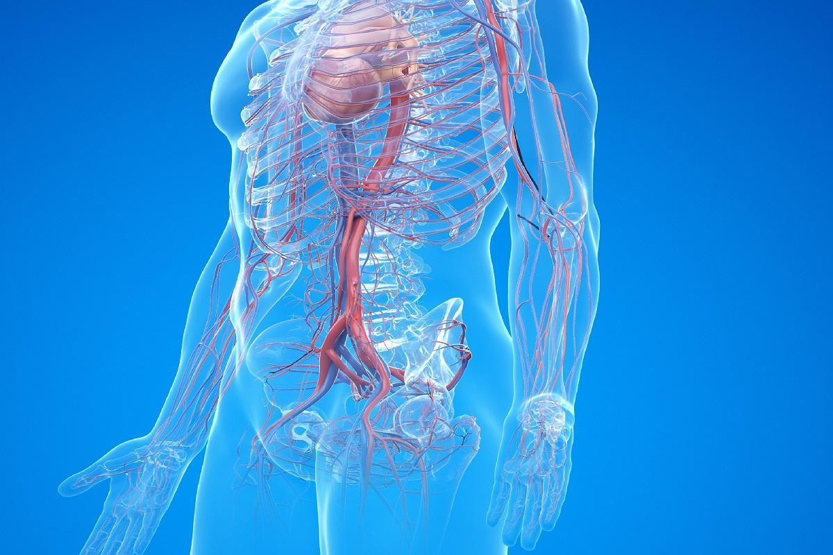 ¿Qué es la arteritis de Takayasu?