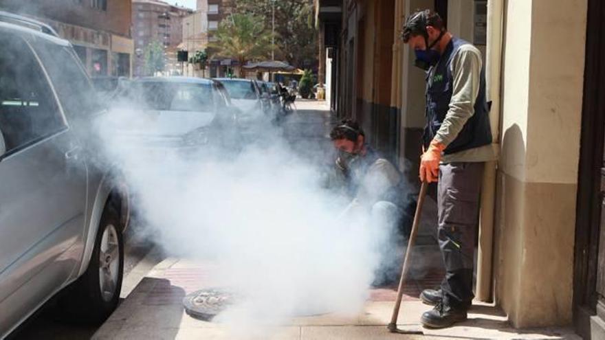 Castelló invierte 35.000 euros en un plan contra los mosquitos y otras plagas