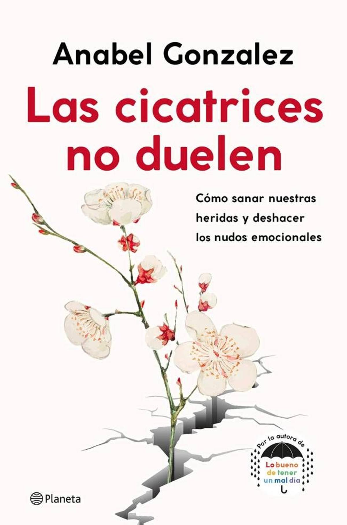 Las cicatrices no duelen, Anabel González