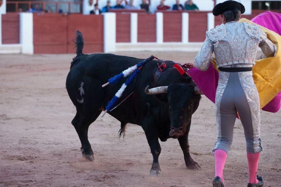 Fiestas San Pedro 2017: Feria Taurina de San Pedro