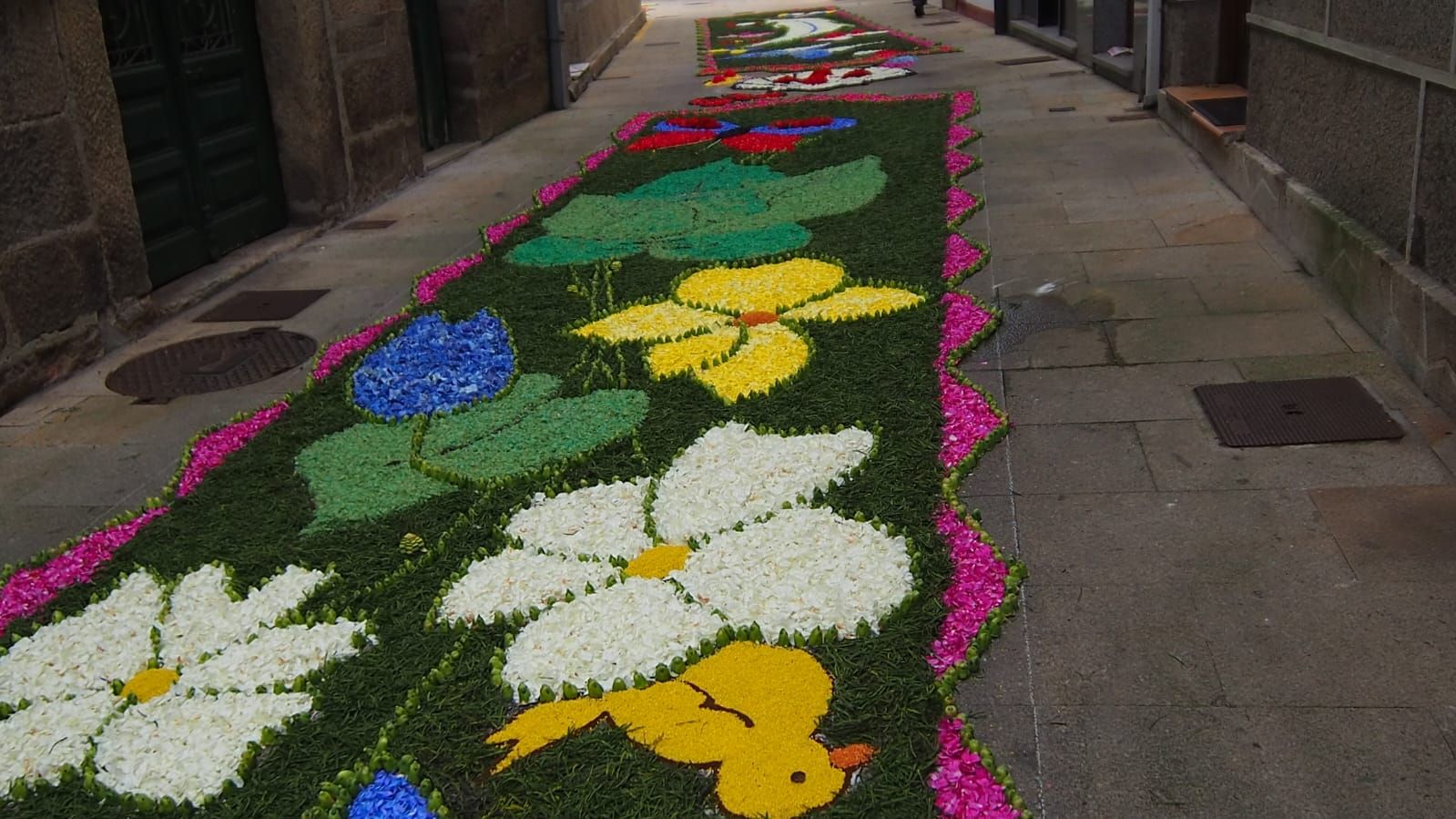 Redondela, cubierta por sus alfombras de flores