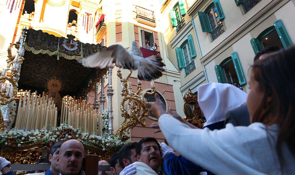 Miércoles Santo | Paloma