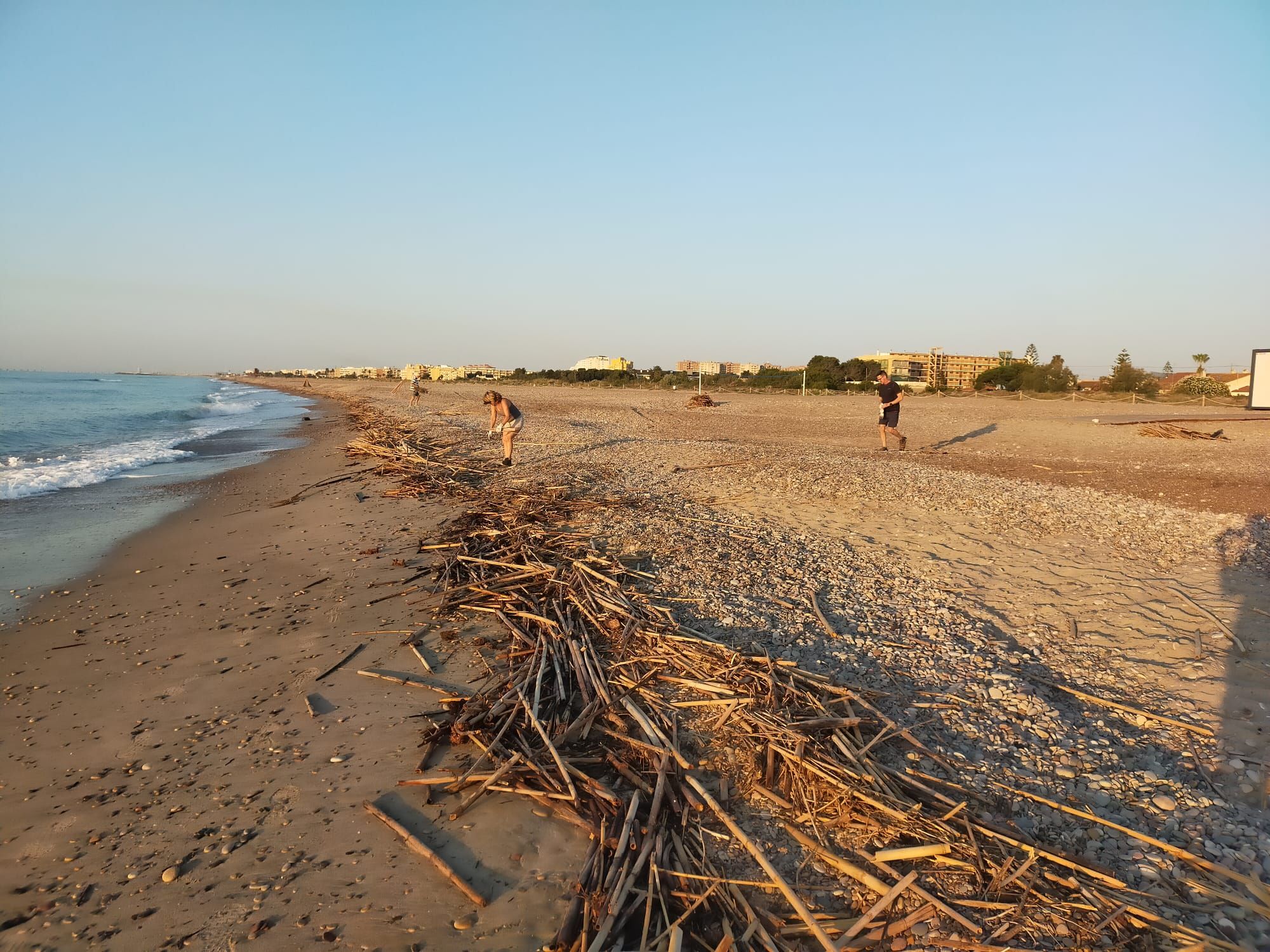 Vecinos de Almardà retiran montones de cañas acumuladas en la playa