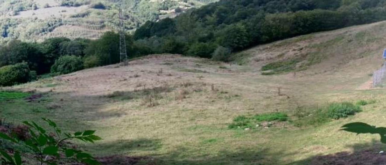 La zona en la que se ubicará la explotación avícola.