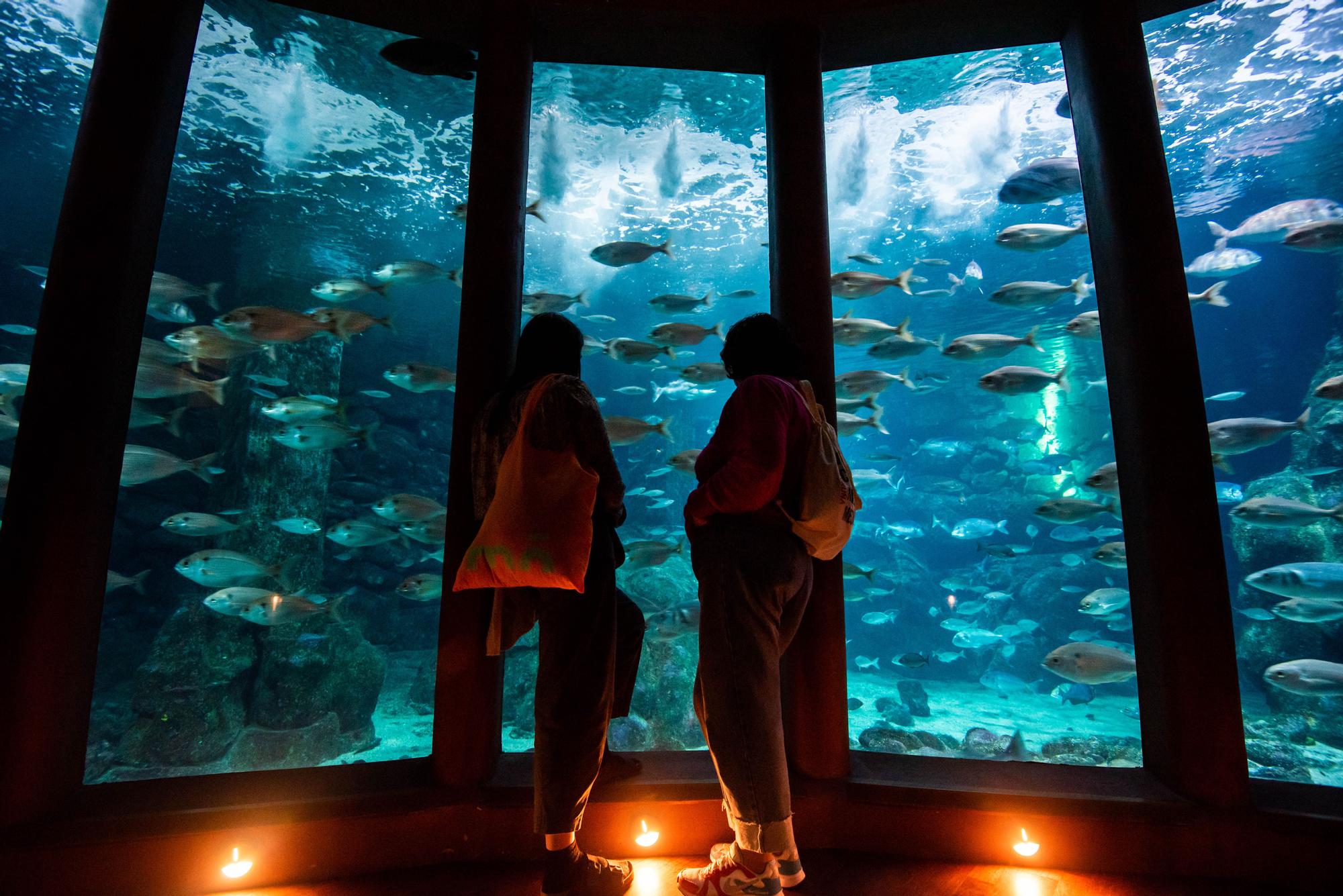 Día de los Museos en A Coruña