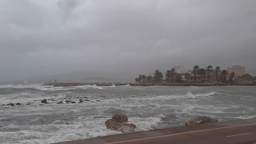 Sturm auf Mallorca: So wütete Ciarán am Donnerstag in Palma.