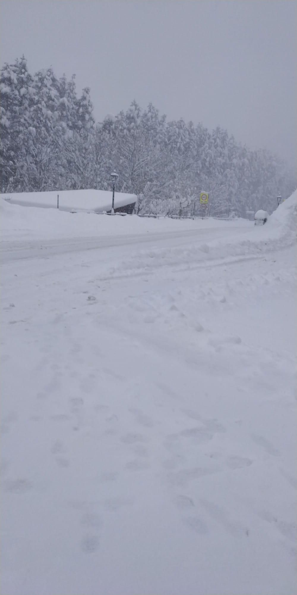 El azote del invierno en Aragón