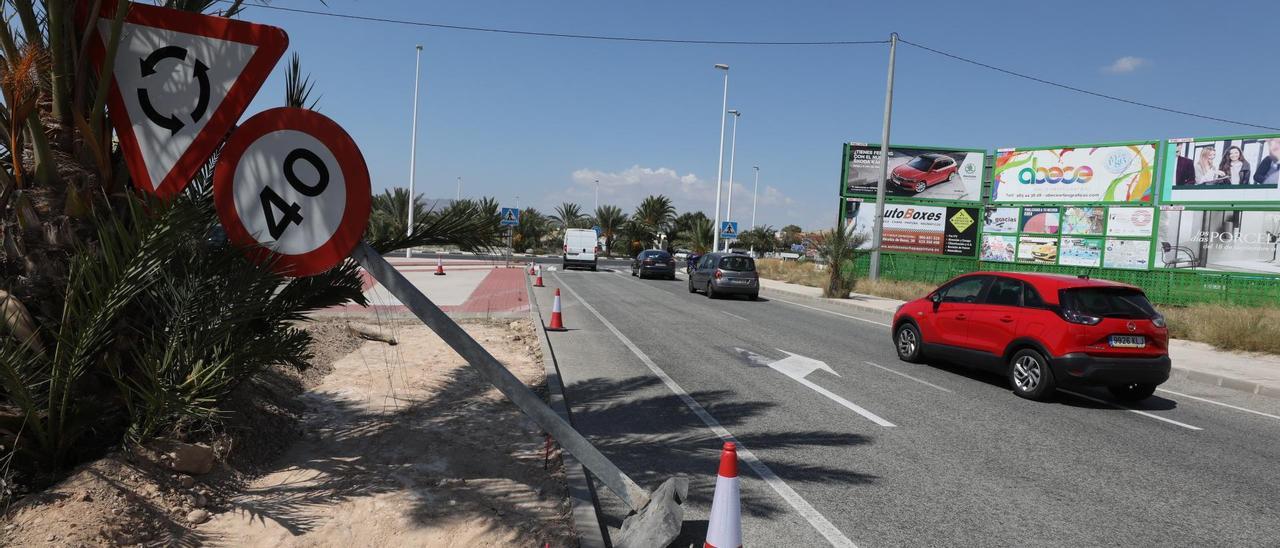 Elche invierte medio millón en integrar con palmeras la Ronda Norte en el paisaje urbano