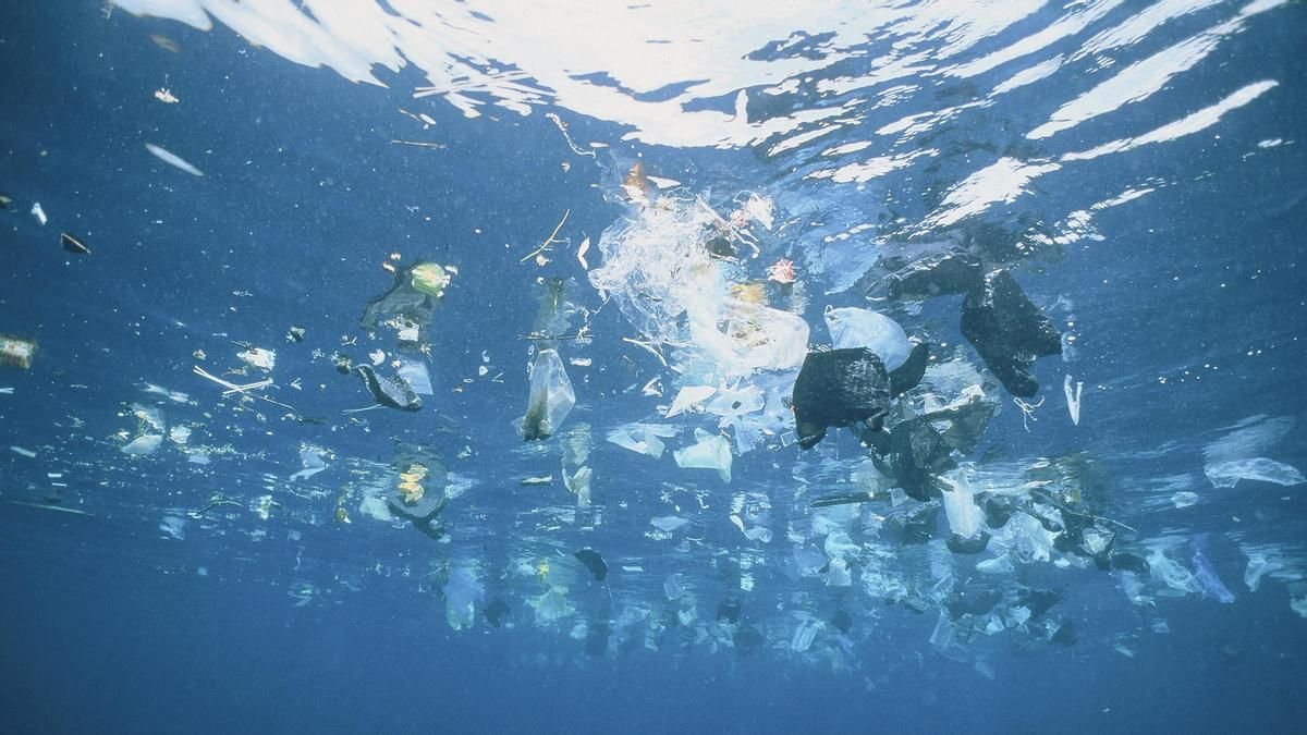 Todo el océano del mundo está atrapado en una "triple crisis planetaria": cambio climático, pérdida de biodiversidad y contaminación