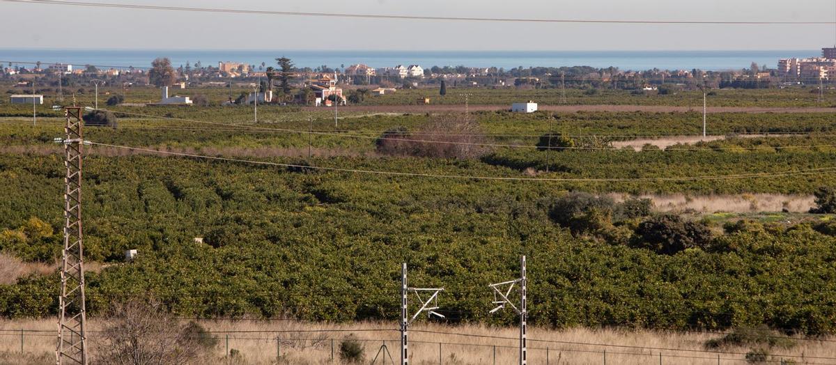 Vista de terrenos de Montíber donde están previstas las plantas fotovoltaicas.