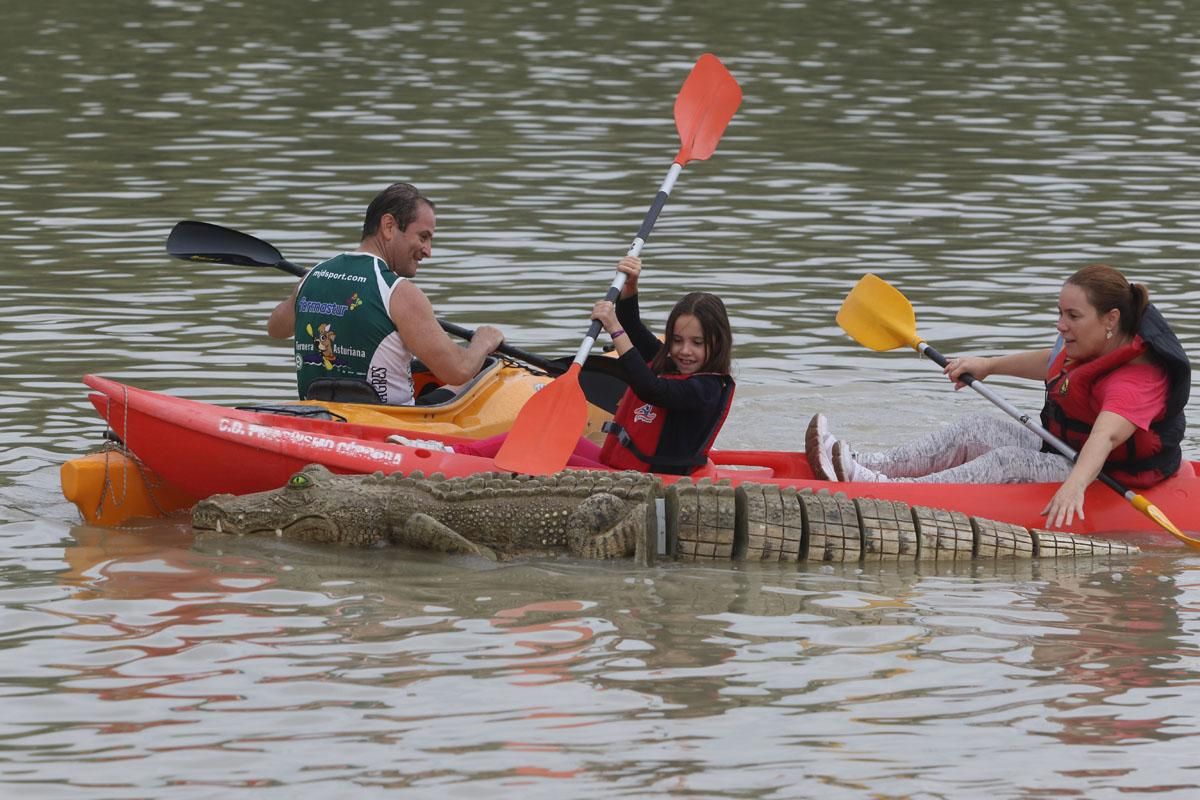 Ruta del Caimán por el río Guadalquivir