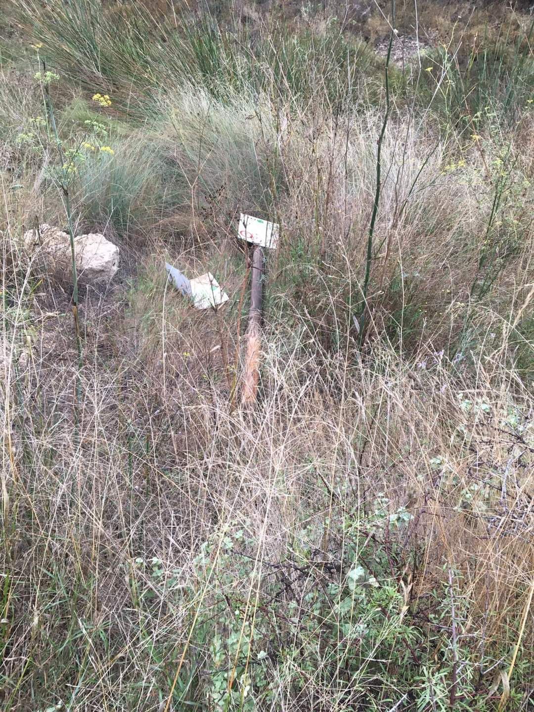 Vandalismo en parajes naturales de Monóvar