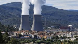 La central nuclear de Cofrents, a València, en ple funcionament al maig. | KAI FORSTERLING / EFE