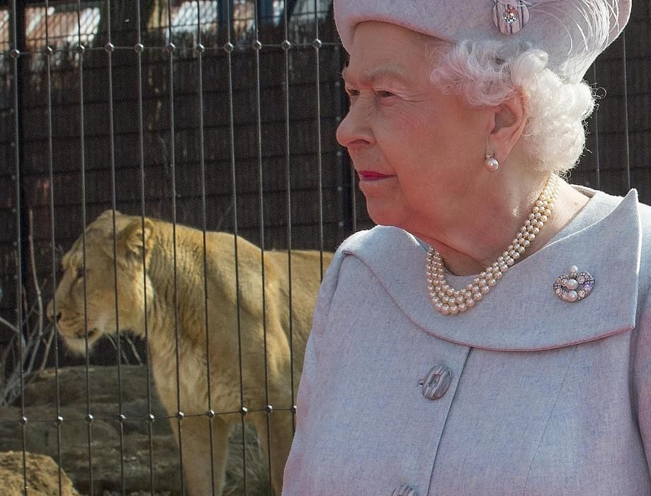 La reina Isabel de Inglaterra visita el nuevo recinto León asiático en el zoológico de Londres