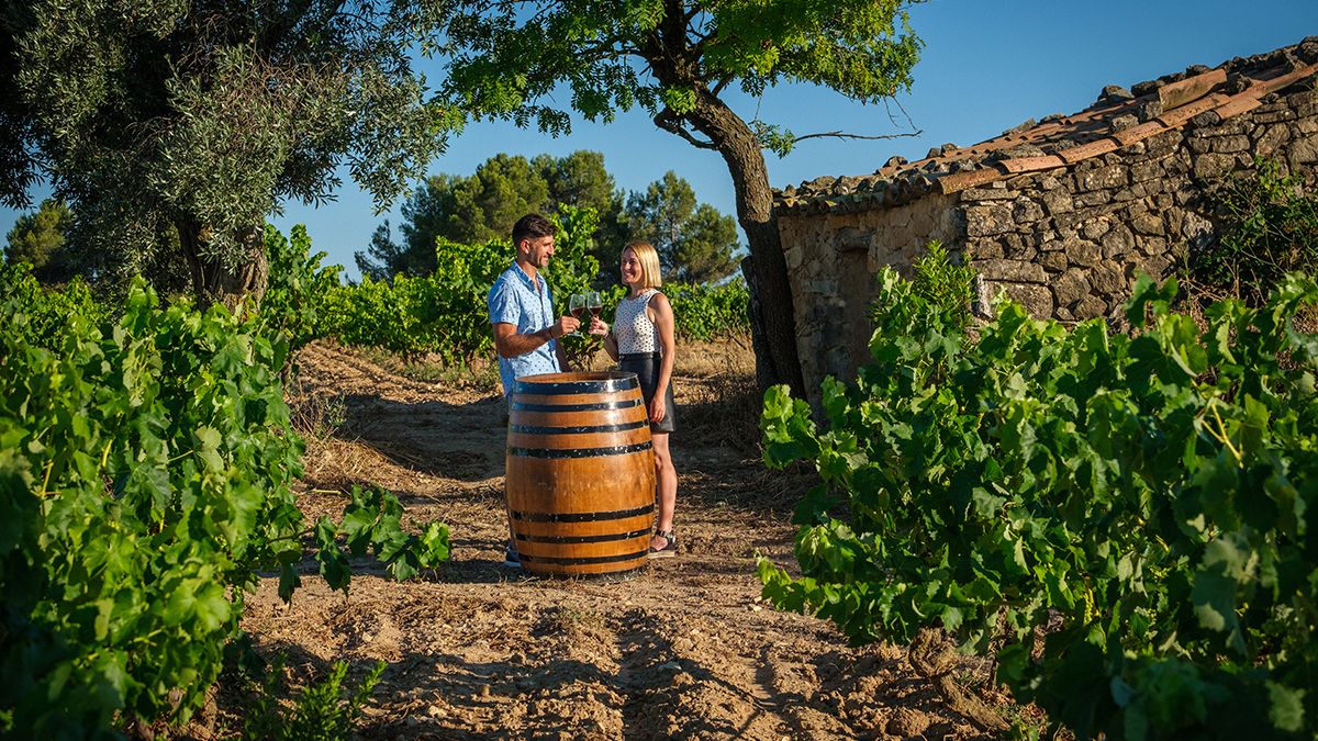 Cata de vinos entre viñedos, una de las experiencias que permiten descubrir el paisaje a través del enoturismo.