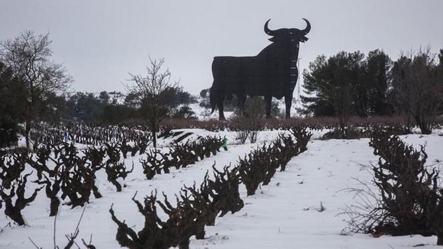 El Toro de Osborne cumple 60 años como icono de lo español