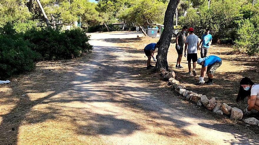 El voluntariado realiza plantaciones en un punto del Vedat.