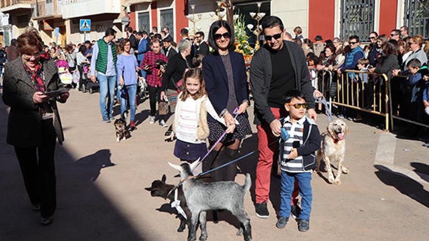 Rafelbunyol se prepara para celebrar Sant Antoni