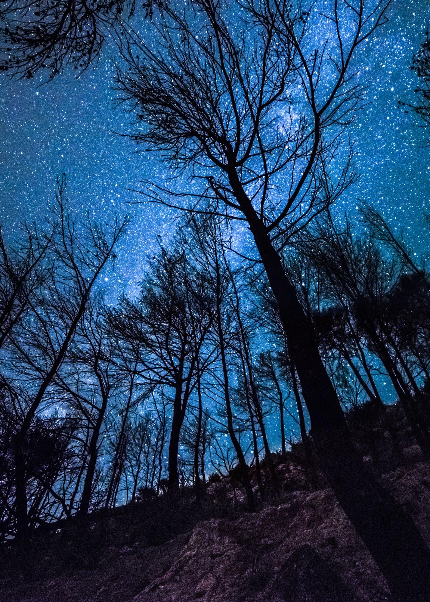 Zwar mit Digitalkamera, aber nicht minder effektvoll: eine von Taros Nachtfotografien.