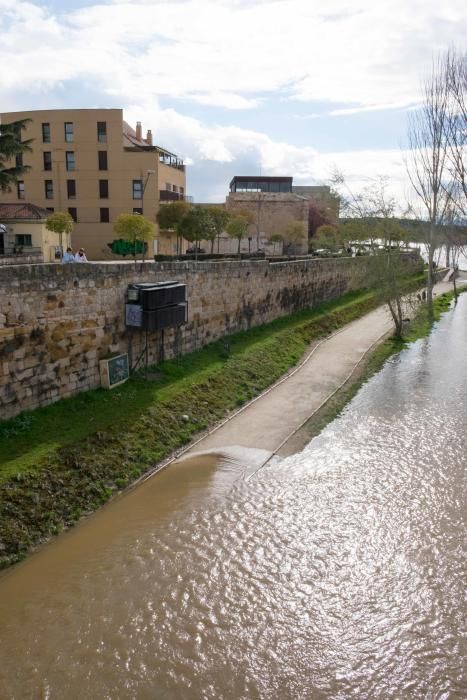 Crecida del río Duero