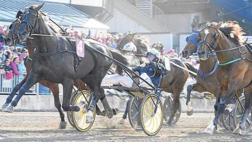 Nuncio (4), con el conductor sueco Örjan Kihlström, en su victoria de ayer en la prestigiosa ´Elitlopp´ de Solvalla/Estocolmo.